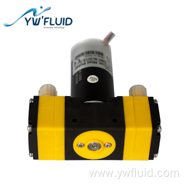 Micro dual-head BLDC diaphragm pump